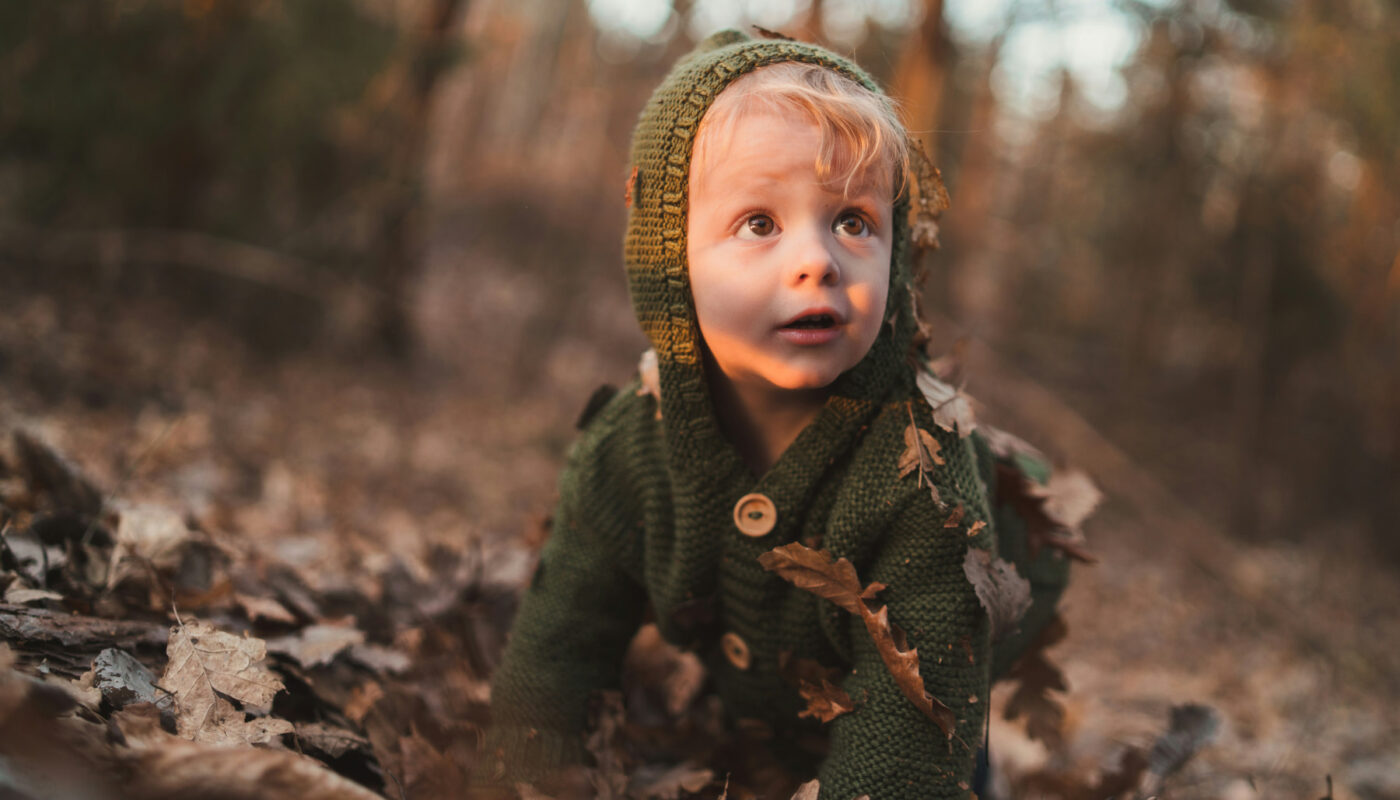 copil cu hanorac și glugă, peisaj de toamnă, scenă din autocunoașterea